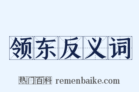 领东反义词是什么意思的图片